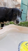 DULCE Imagen 3